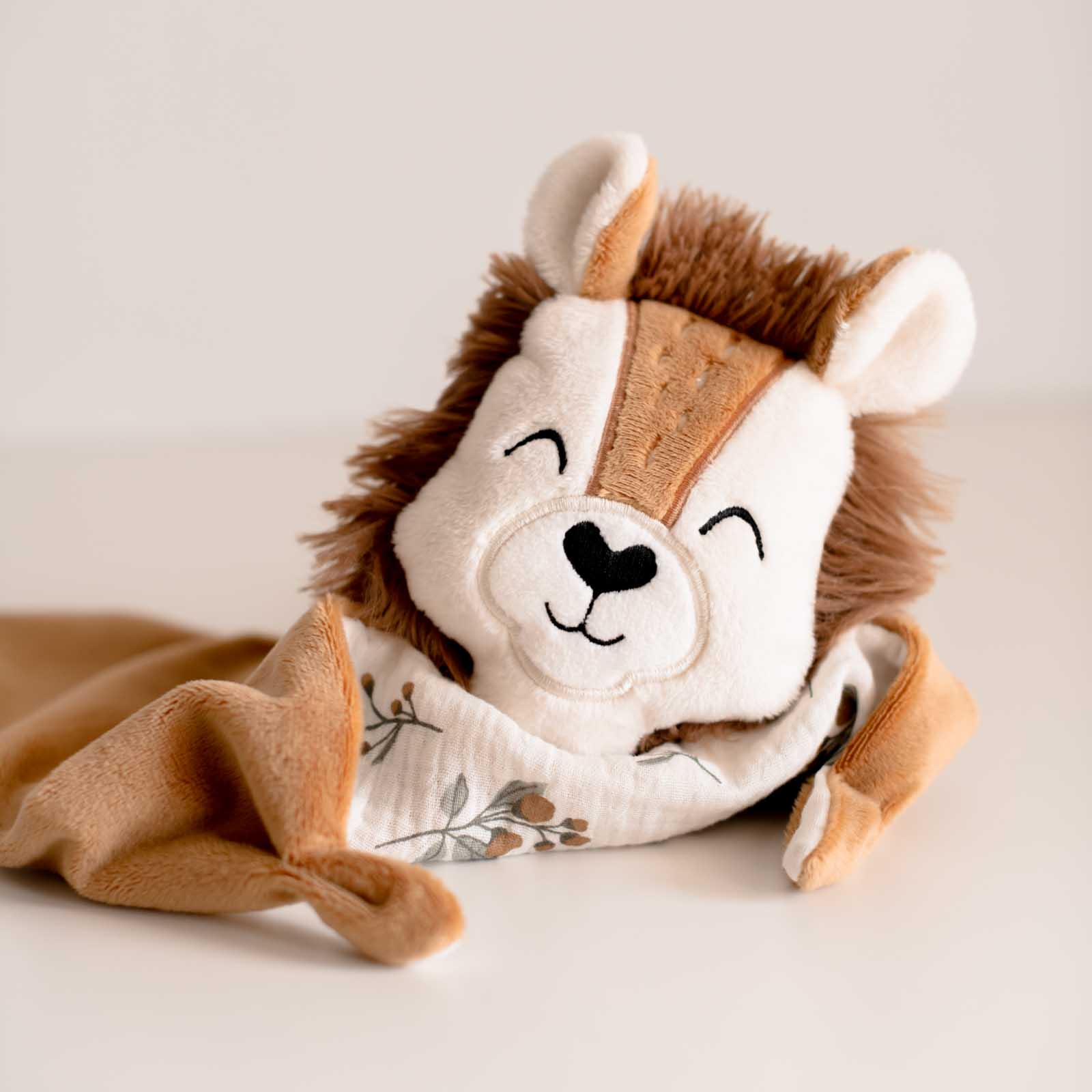 Amancio el león - Imagen 3