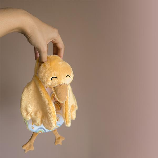 Pollito Fido - Imagen 12