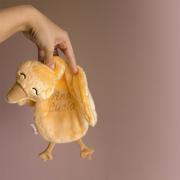 Pollito Fido - Imagen 11